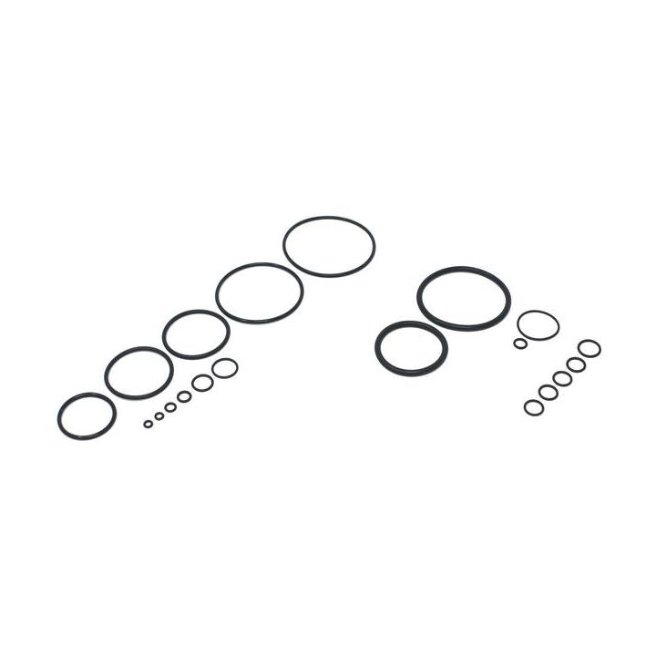 Vorsprung Secus Fork Air Spring - Seal Kit