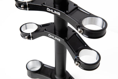 Öhlins DH38 Race Crown Set