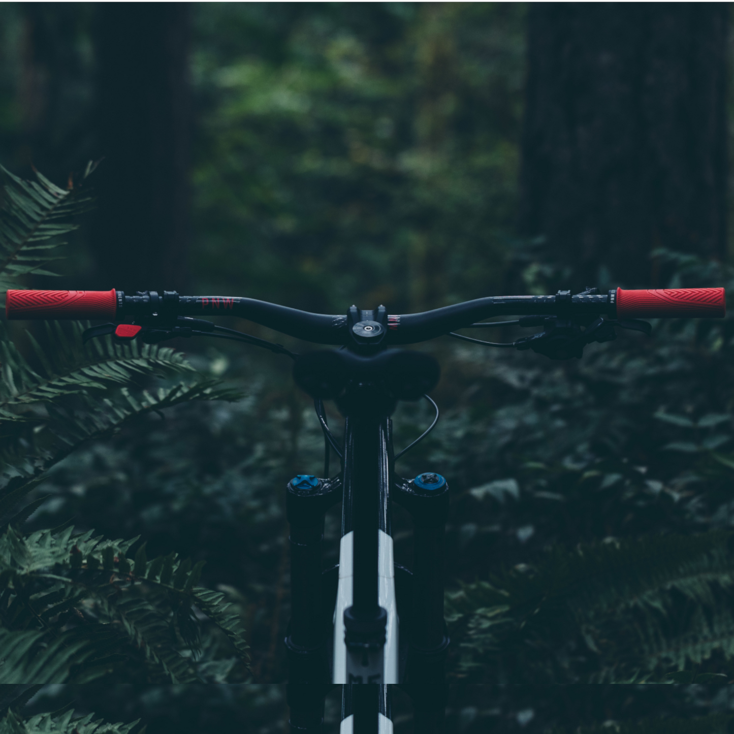 PNW Components The Loam Lever Gen 2